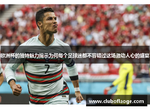 欧洲杯的独特魅力揭示为何每个足球迷都不容错过这场激动人心的盛宴