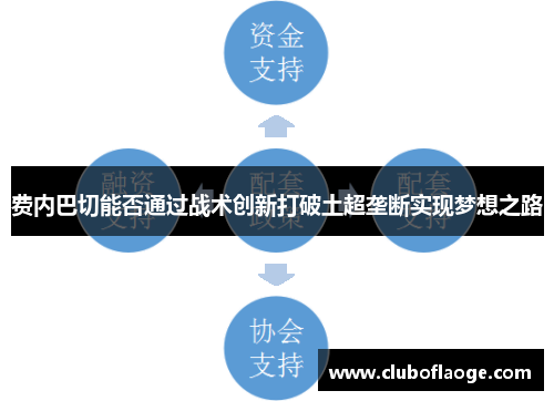 费内巴切能否通过战术创新打破土超垄断实现梦想之路