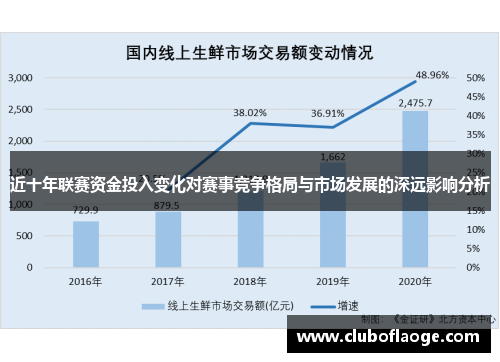 近十年联赛资金投入变化对赛事竞争格局与市场发展的深远影响分析