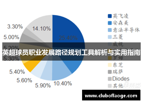 英超球员职业发展路径规划工具解析与实用指南