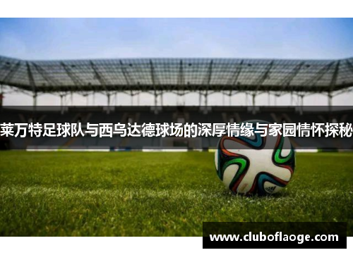 莱万特足球队与西乌达德球场的深厚情缘与家园情怀探秘