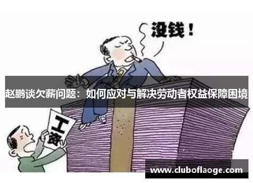赵鹏谈欠薪问题：如何应对与解决劳动者权益保障困境