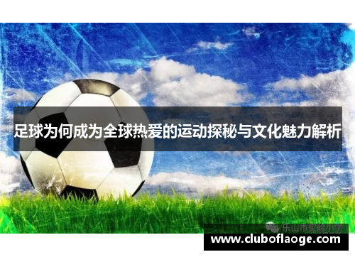 足球为何成为全球热爱的运动探秘与文化魅力解析