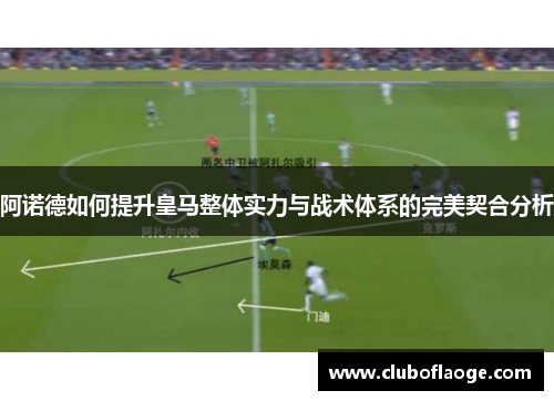 阿诺德如何提升皇马整体实力与战术体系的完美契合分析
